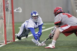 lacrosse-165576_1280