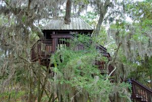 treehouse-646967_960_720