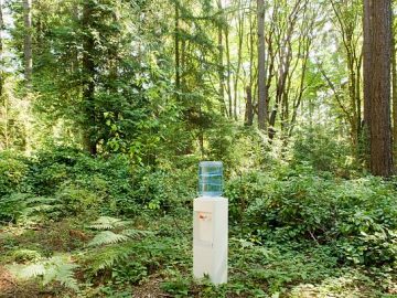 Fontaine à eau placée en pleine nature dans la forêt
