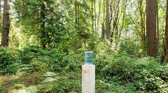 Fontaine à eau placée en pleine nature dans la forêt