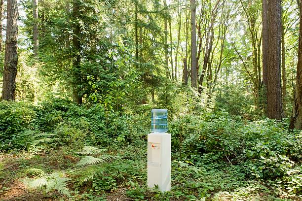 Fontaine à eau placée en pleine nature dans la forêt