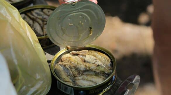 stocker conserves de poissons